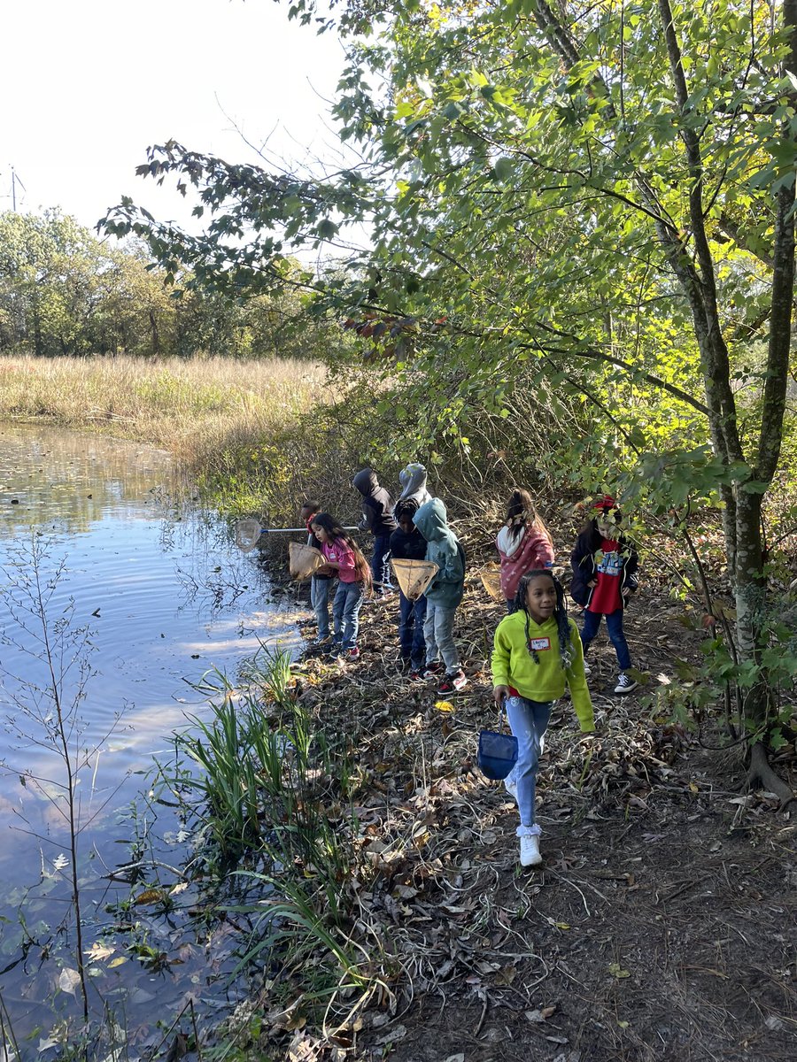 Amanda Iverson tweet media