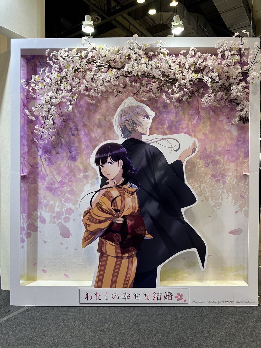 わたしの幸せな結婚 5巻特装版 小説 アクリルパネル セット Www Srdostriz Hr