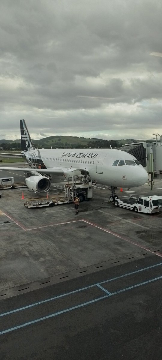 My grandma and grandaddy plane that they came on