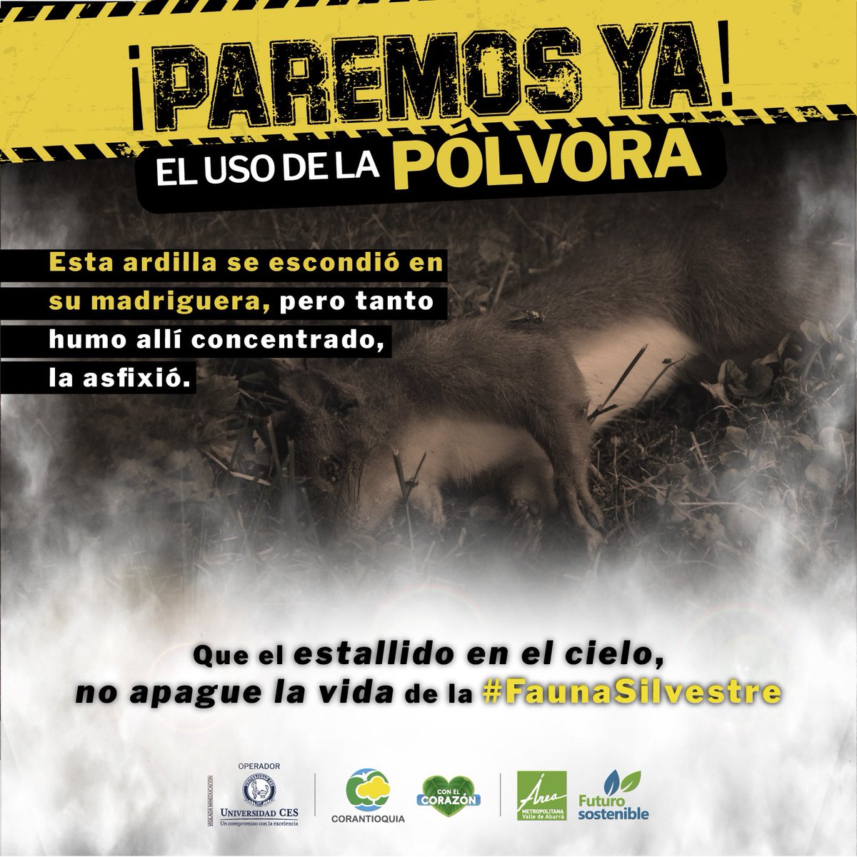 Areametropol's tweet photo. Las detonaciones de la pólvora 🧨 expulsan partículas contaminantes al medio ambiente 🌱 que afectan la salud. Estas sustancias, pueden perdurar en el tiempo contaminando las fuentes hídricas💧, el suelo y el aire🌬️, elementos fundamentales para la supervivencia de la #Fauna. https://t.co/UP1cxUVBRG