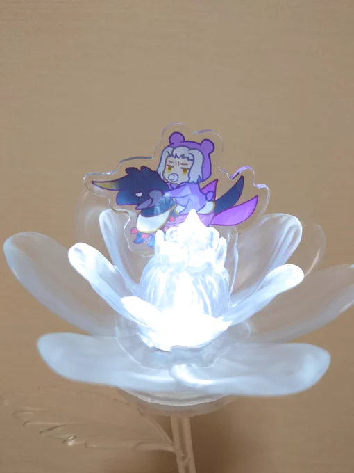 お花きれい 