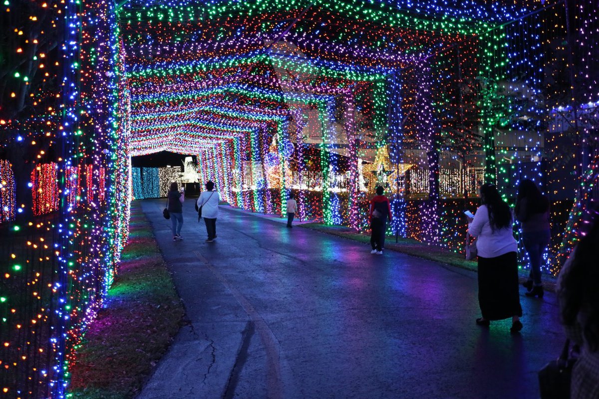 YPHoustonTX's tweet photo. Space Center Houston Galaxy Lights (2022) ❄️🎄✨🚀 

This winter explore the most interactive &amp; technologically advanced light display in Texas

Take a seat and watch their new crystal fireworks experience.

On view through January 1, 2023

🎟: https://t.co/c9W52EpOFx https://t.co/tmZgVUs3uh