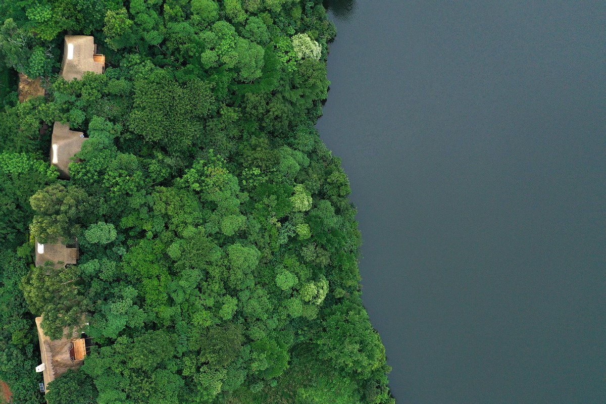 thehotelsuganda's tweet photo. Burnt out on the city hustle? Come unwind with us at the mystical crater lakes in Fortportal at 

Papaya Lake Lodge 

Now listed on 

THE HOTELS IN UGANDA®

https://t.co/ZGSlnm9Ua0 https://t.co/7r1RzlqV1Z