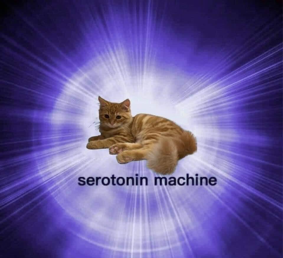 ᅠ * ‍ 𝒫𝐎𝐖𝐄𝐑 。 (@diabledesang) on Twitter photo 