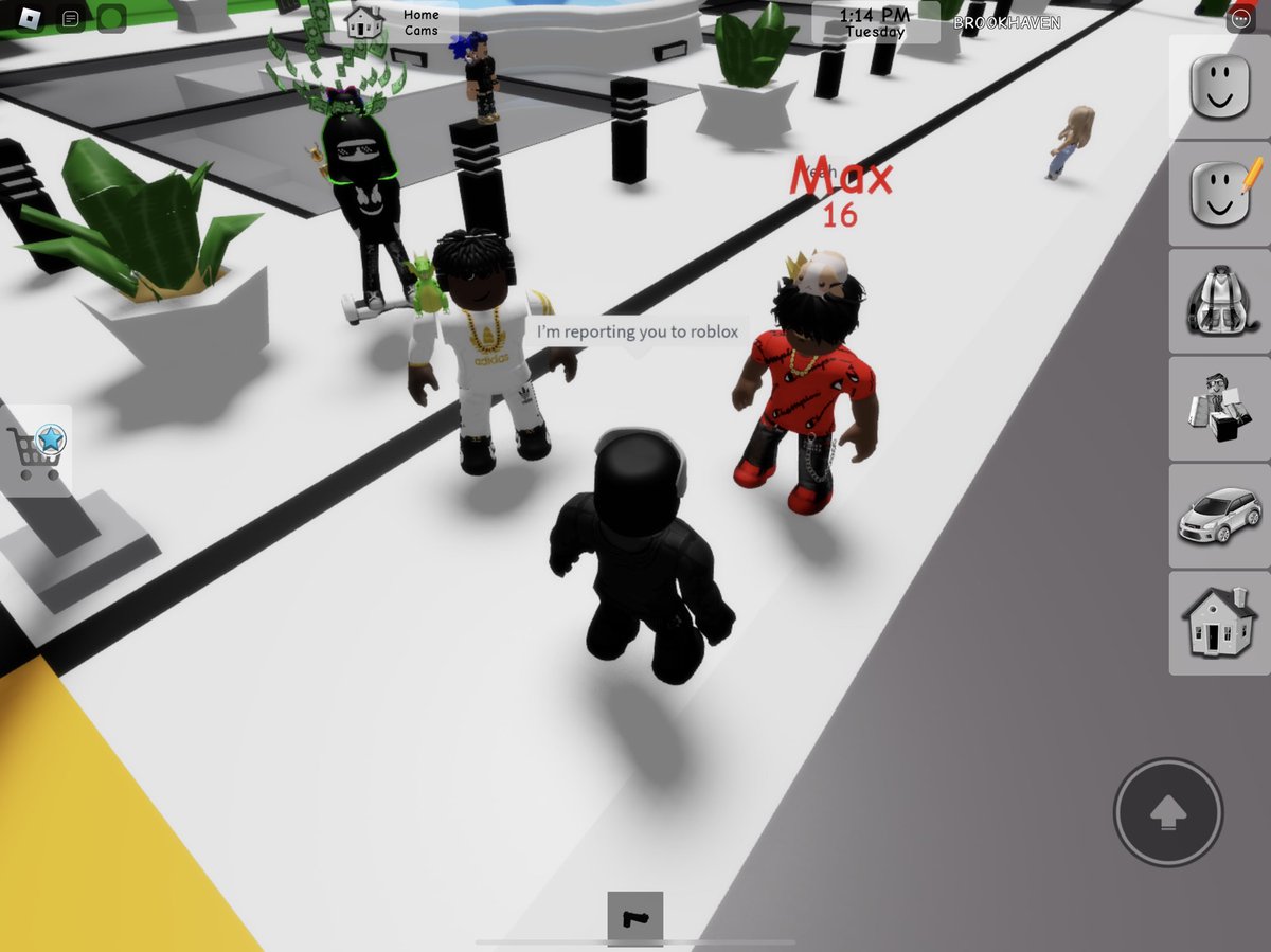 ZombieDev tweet media