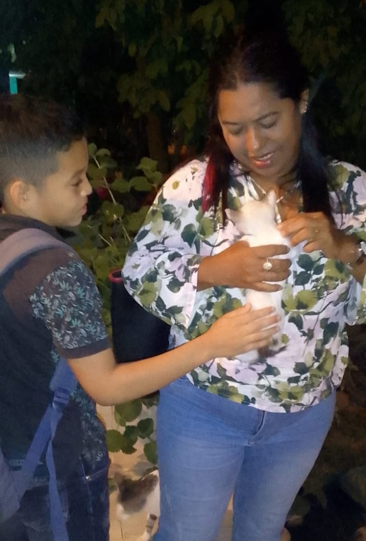 Barraza_E_19's tweet photo. Un gato transforma el regreso a una casa vacía en la vuelta al hogar. Gran Jornada de adopción 🐱🐈 para el Hogar de paso @DMininos Gracias a todos por apoyar nuestra labor. 🐶🐈
@Majedi_RG
@mauromonserrate
@GildelaCruzB @AngieChaparroS @andreanimalidad https://t.co/mzgbDZELSu