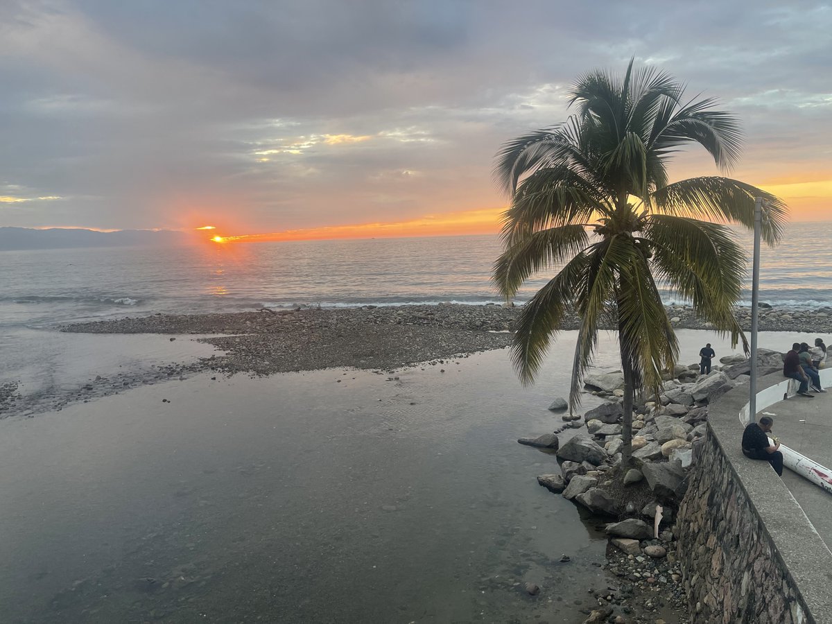 dunkindeez11's tweet photo. #PuertoVallarta #PuertoVallartaMexico #Jalisco #Mexico #Viajes #Travel #BocaDeTomatlan #Colomitos #PlayasMexicanas #BeachDestination https://t.co/oZz0OiRS5X