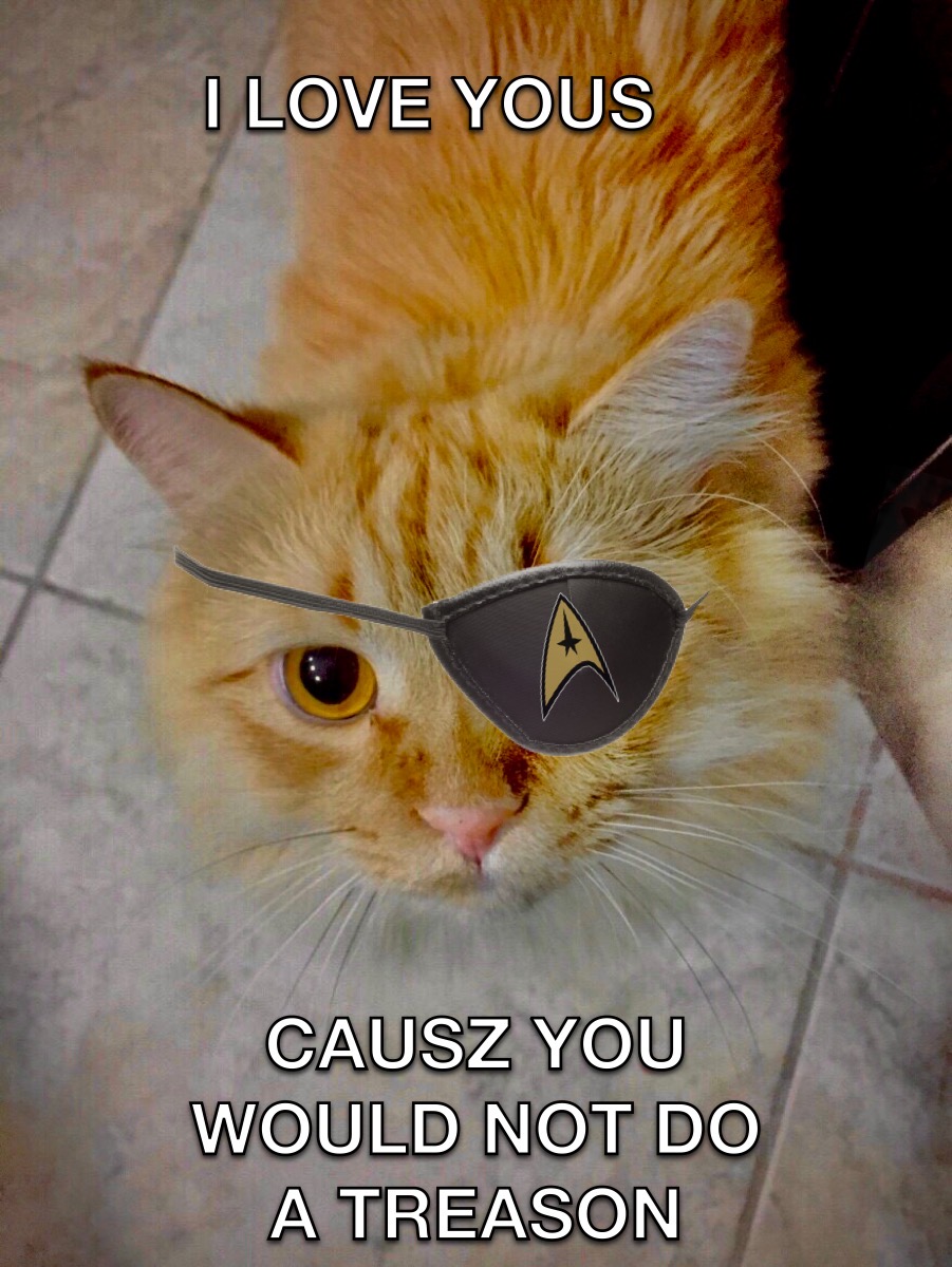 5_d_Chesterton's tweet photo. @MavenMemer You speak the truth will passion. Here, you get a #SPACEFORCECATS ☺️ https://t.co/jmz94NZRuc