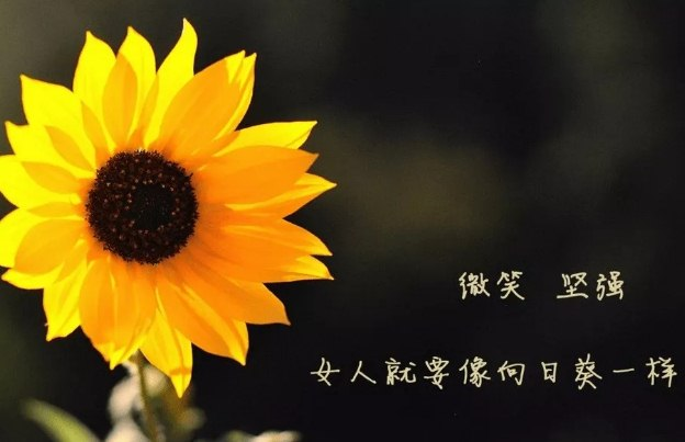 bony360's tweet photo. Life is as simple as that, it just takes a little courage and you can turn your life around and start over. Life is too short, there is no time for regrets, if it is not the end, please try to move forward. https://t.co/4viwNNSRwy