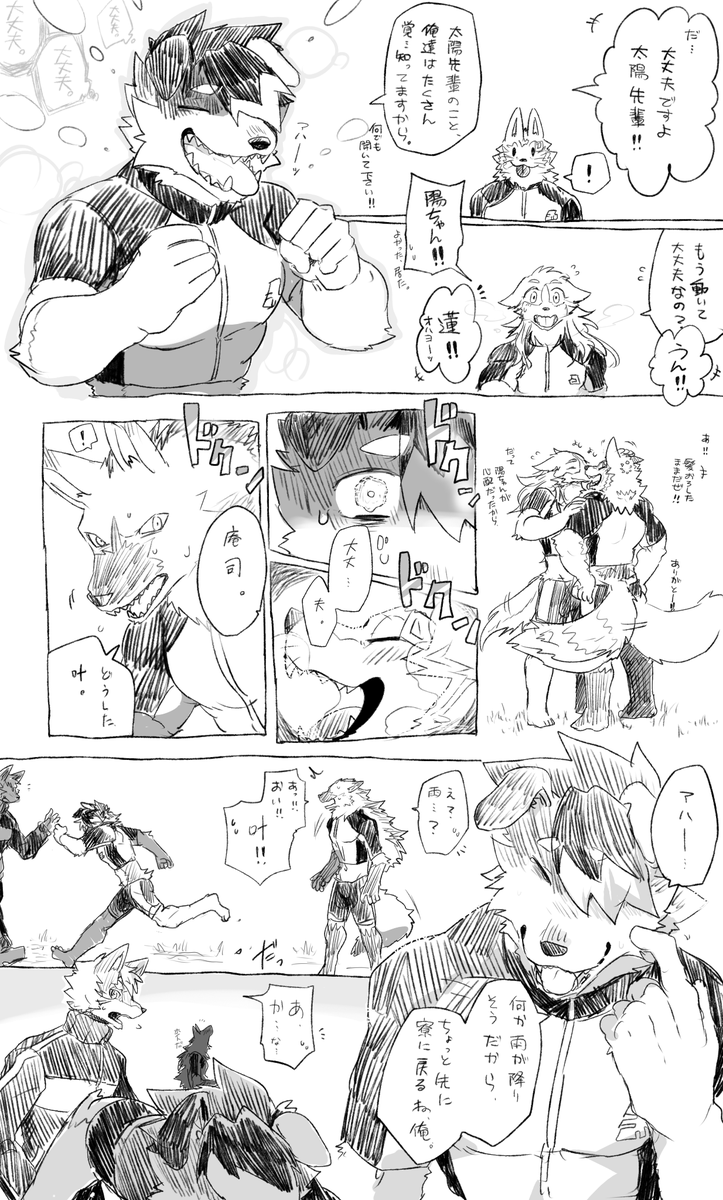 Lost : Amber's memory  ☔

#獣山学園犬ぞり部
#琥珀寮 