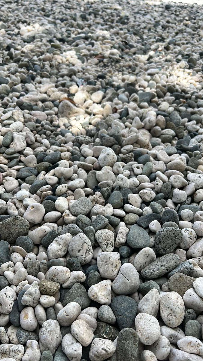 TeCokanasiga's tweet photo. Everyplace has its beauty, not everyone sees it. #HoniaraHammockBeach #OutdoorMiniRetreat @UNDP_Pacific @UNDP_Solomons https://t.co/wkPfEs2hMn