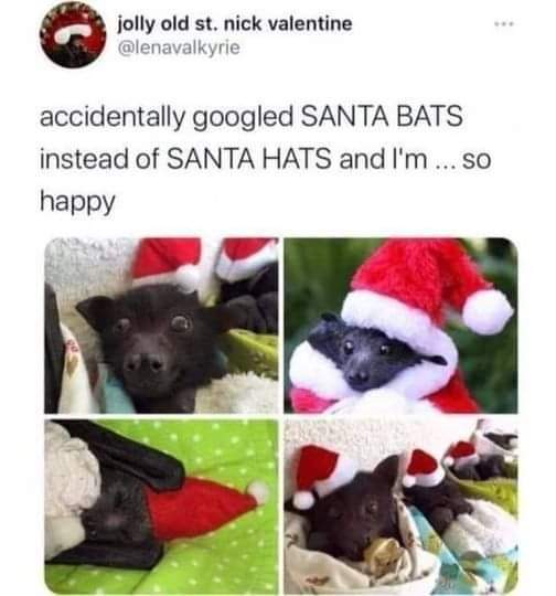 WholesomeMeme's tweet photo. https://t.co/eIIQufMEZD