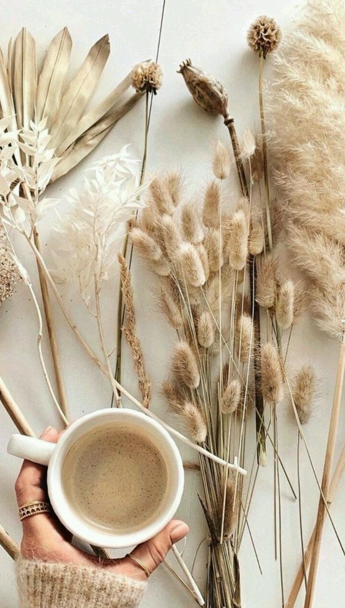 كثيـــرون ماتـــوا بالأمـــــس ونحـــــن لم نمـــــت ،وكثيــــرون لم يقــــوموا هذا الصــــباح ونــــحن قـــــمنا هذه ليـــــست قــــوة فيــــنا أو رغبـــــة مـــنا ،بل هذه نعــــمة الله علـــــــينا

. 
#يسعد_صباحكم