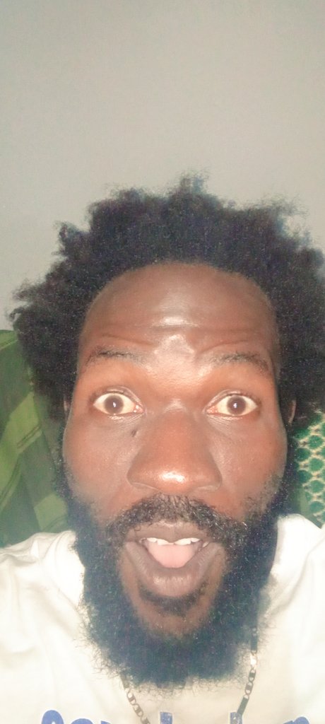 DancingPipo's tweet photo. An outsider among the natives https://t.co/HgFQny6ogL