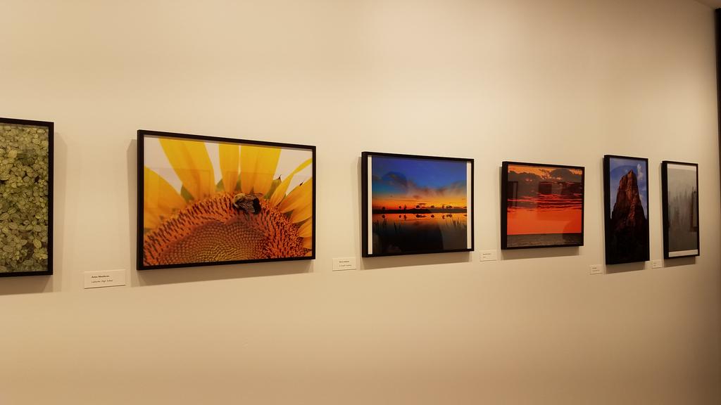Awesome juried show Beginnings: 2022 featured numerous Rockwood artists!! This Belleville kid's shot really drew me in...and so much gorgeous black and white 💜💜 <a href="/websteru/">Webster University</a> #connectedlancer
