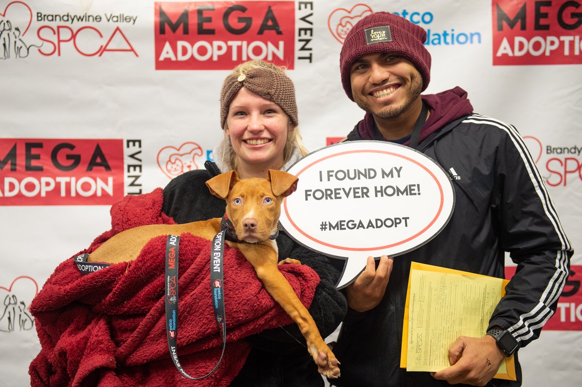 BrandywineSPCA's tweet photo. ‼VOLUNTEERS WANTED‼ Volunteering at our Mega Adoption Event is a great way to help a lot of animals without bringing them home. We need help with a range of things at the largest adoption event in the country – on-site training provided. Sign up now: https://t.co/9n2F1Tp18I https://t.co/ZghPrlYGKt