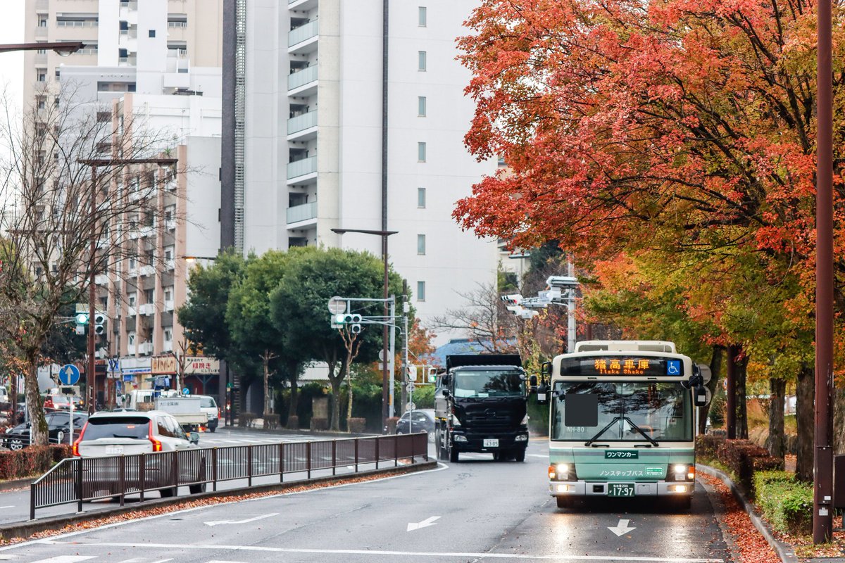 2022/11 金山12系統 出入庫(猪,妙)
名古屋市交通局 レトロカラーバス
NH-80[猪高] 電気バス

金山を走る猪高レトロを撮影。金山循環にもはいっていました。一時的に晴れ間もありましたが、最後は雨降りでした。
