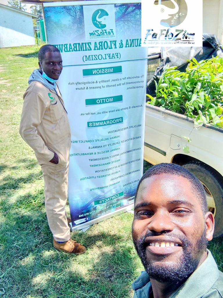 As we wrap up 2022, i have several victories to count. I'm most proud of my work on wildlife & environmental conservation.This year alone,we planted 1435 trees @faflozim. Thats a forest 🌲🌱🌳.Looking forward to the next tree planting season.Happy #NationalTreePlantingDay🇿🇼