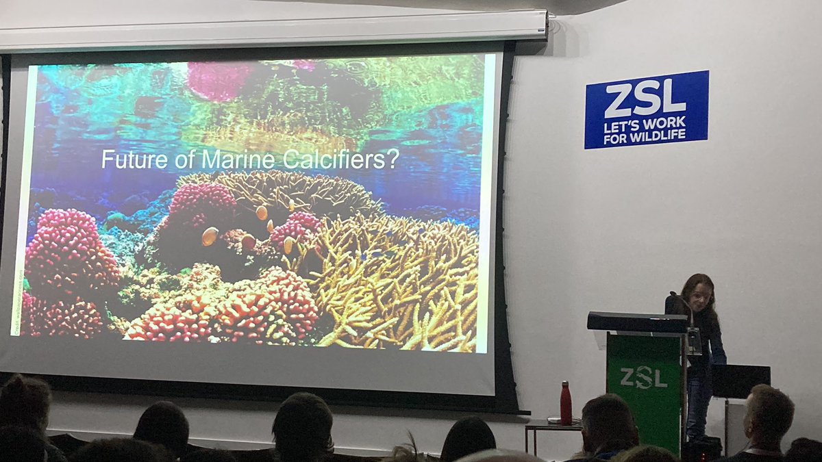 Richardson_LE's tweet photo. Coral reefs under the microscope @ #RCUK2022: giant clams can grow as fast in turbid water as in clear waters! But the shell microstructure varies. Could be down to mixotrophic feeding @kimandclams #eatwhatyoucanget #makingdo #clamgottaeat https://t.co/yztKuBDKIg