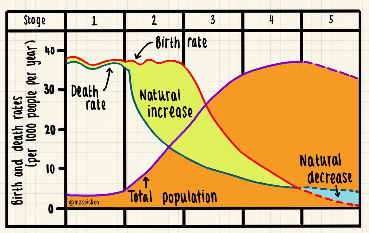 Meg Picken🌍 tweet media
