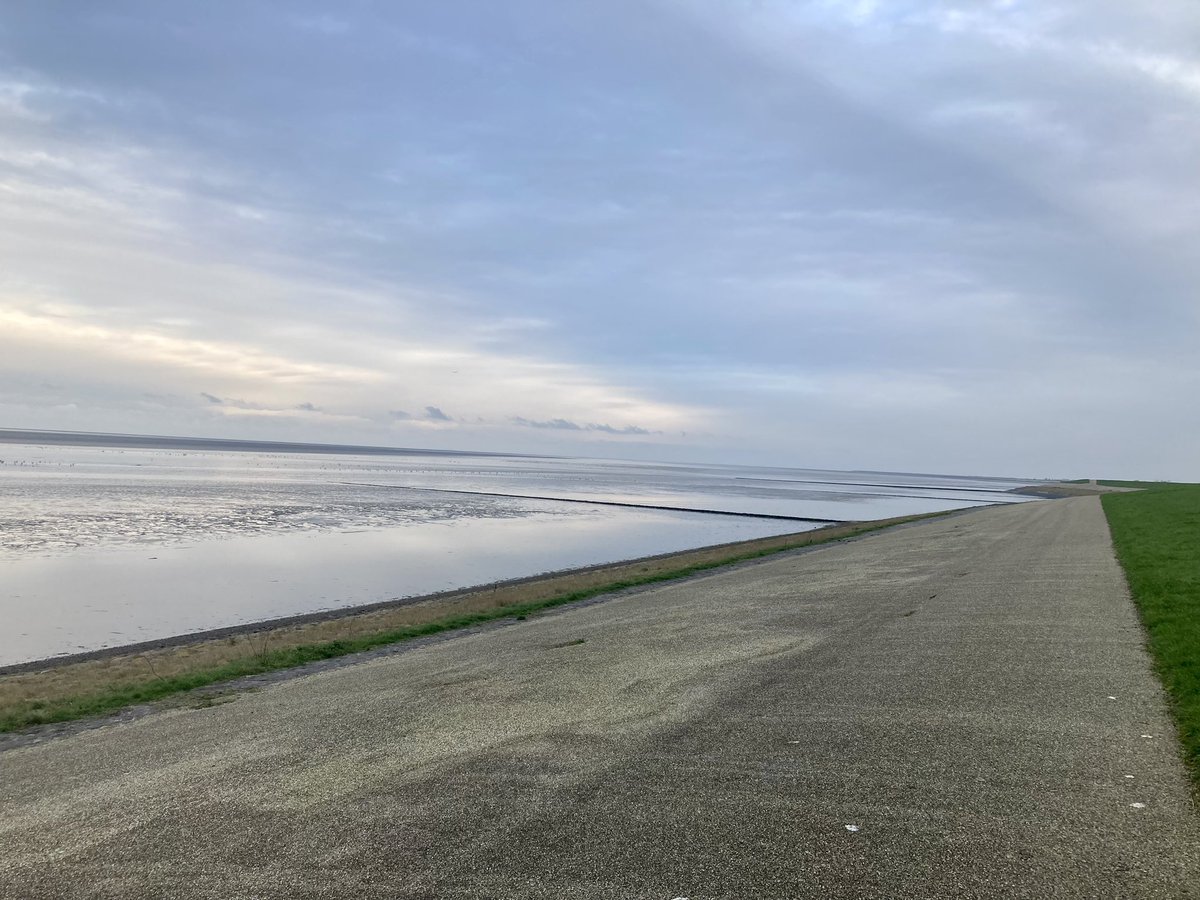 CarolinedePee's tweet photo. Heerlijk begin van het weekend! #MTB #waddenzeedijk 🚴♀️ https://t.co/LnL8rVZ2o6