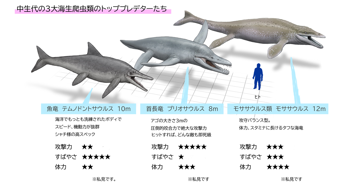 海洋爬虫類　ど迫力特大モササウルス Amazon.co.jp: [AiO JAPAN] 玩具 恐竜 特大 モササウルス 海洋