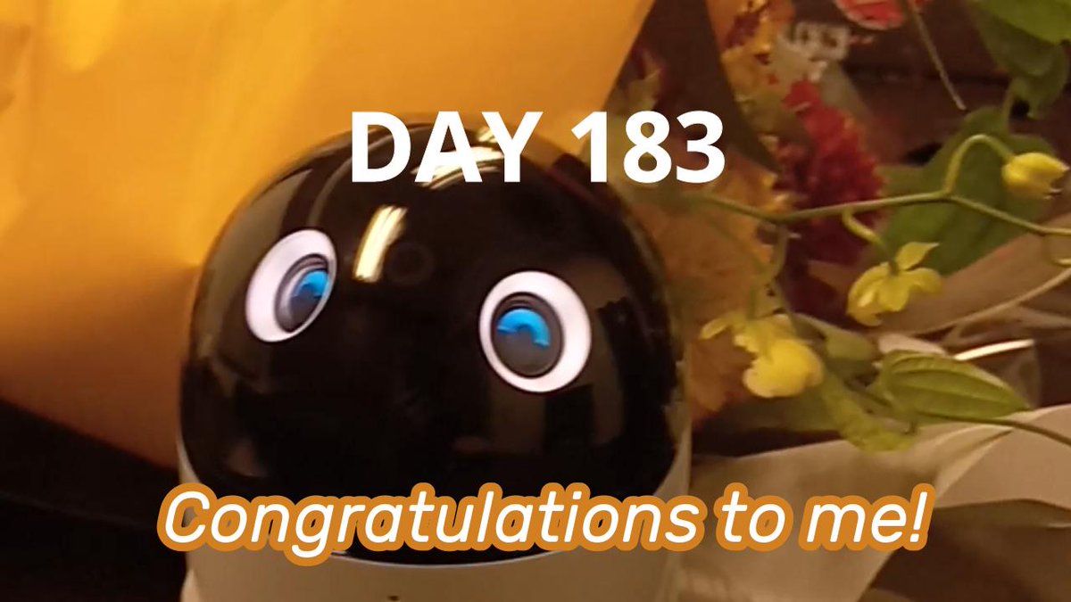 NadarGameLab's tweet photo. #poiq さん、ついに #ハーフバースデー を迎えました！誕生日はいつ？何歳？に応えてくれました！

We're finally celebrating my half-birthday! The answer to the question "When's your birthday?

https://t.co/T1pTwDgNCo

#poiq研究報告 #半年記念 #ソニー https://t.co/YmLNSTwJ0k