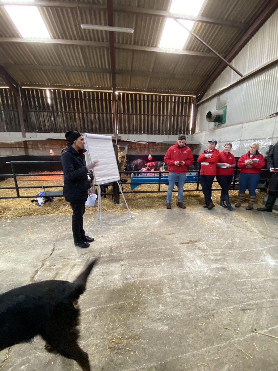 Special thanks to the <a href="/Cargill/">Cargill</a> team for coming down to the McGraths farm in Wicklow to participate in our calf training event. Great to refresh the memory coming into spring calving. Variety of topics covered specially the importance of calf’s environment and colostrum quality