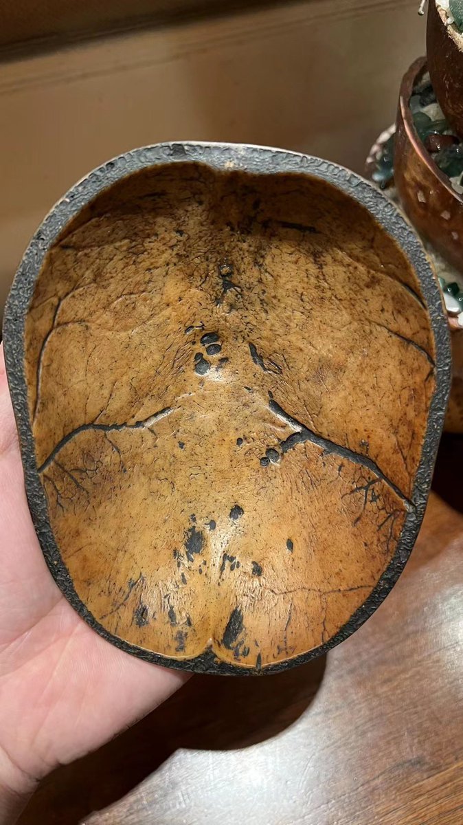 tibetantique's tweet photo. Non line skullcup 15-16Th mindrolling lama temple Nyingma lineages. Special center Tiber important lama monastery kids master skullcup . 16-17Th century. #collection #tibet #asianart #skull #skulls #ritual #rituals #obects #ritualobjects #仏教 #ヒューマン #カアラ #eyebrows https://t.co/eW5FrrPf3C