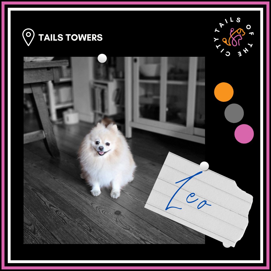 Tails_oftheCity's tweet photo. Leo's big smile tells us that he's very excited for his little holiday at Tails Towers this weekend. https://t.co/z4kyukW9kP