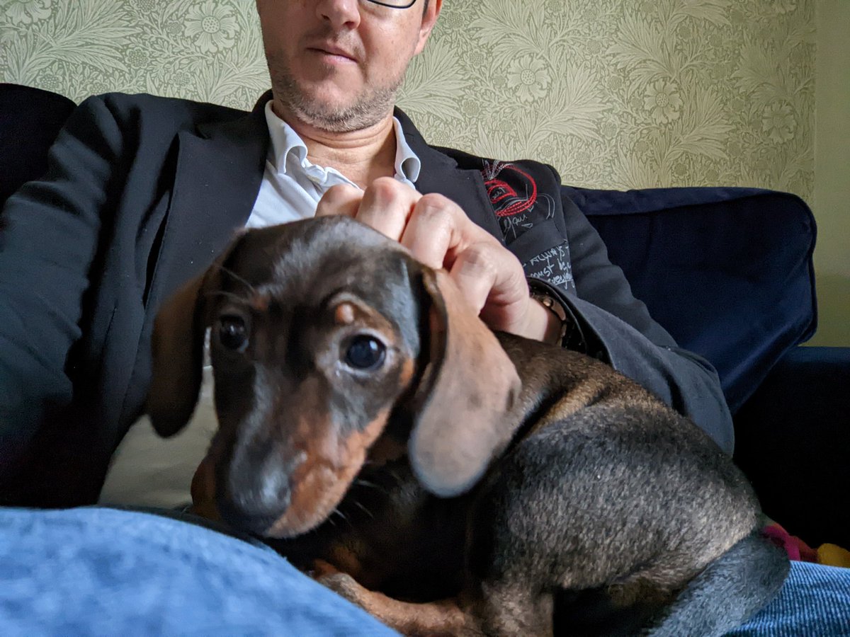TestingChef's tweet image. Today, we welcome Marley into our house.
