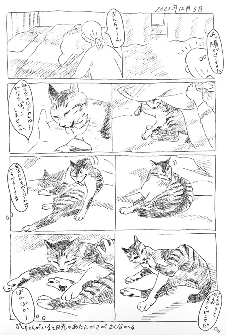 2022/12/3のぎんちゃん #今日のぎんちゃん 