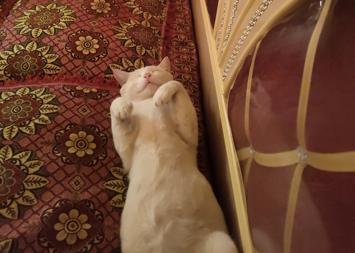 دوستو میں اسکا کیا کرو  کوئی حل باتوں روز میرے سہرانے آکے بیٹھ جاتا ہے جس سے میری  نیند خراب ہوتی ہے پریشان کردیا ہے 🙄🙄
@ammarabutt5324 @ToorJui @hiffi22 @Rakiti313 <a href="/AmnaJui/">Dr.Amna Official</a>