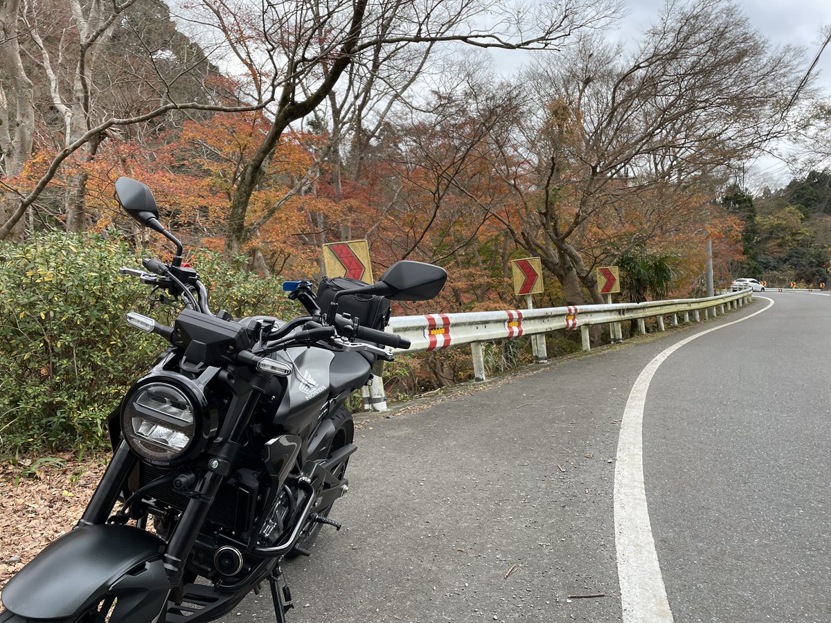 takemaruburari's tweet photo. 横浜横須賀道路を佐原まで行き
久里浜からフェリーに乗り
金谷港に到着
もみじロードを往復して帰宅

#東京湾フェリー
#もみじロード
#cb250r https://t.co/aVEXArFqda