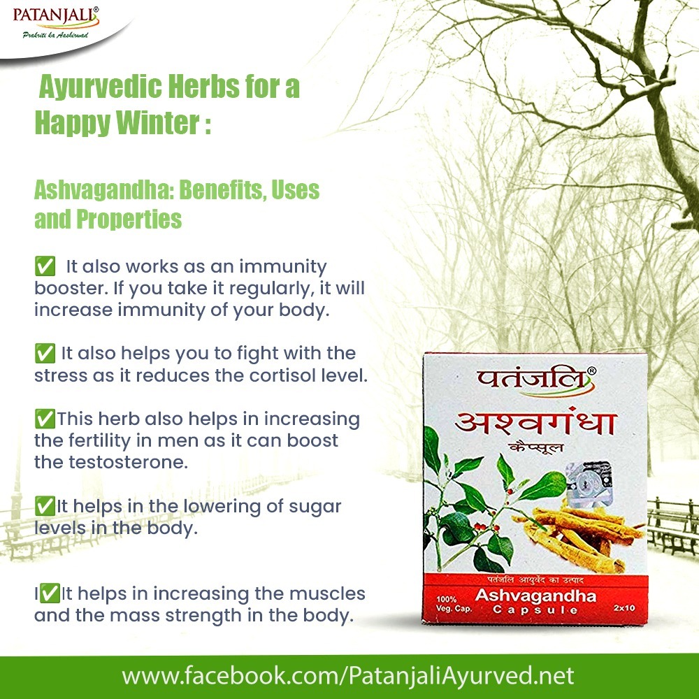 PypAyurved's tweet photo. Ayurvedic Herbs for a Happy Winter :
Ashvagandha : Benefits, Uses and Properties

#Patanjali #Patanjaliproducts #PatanjaliAshvagandhaCapsule #AshvagandhaCapsule #Ashvagandha #immunityboost #wintercare https://t.co/QC55aauJ1W