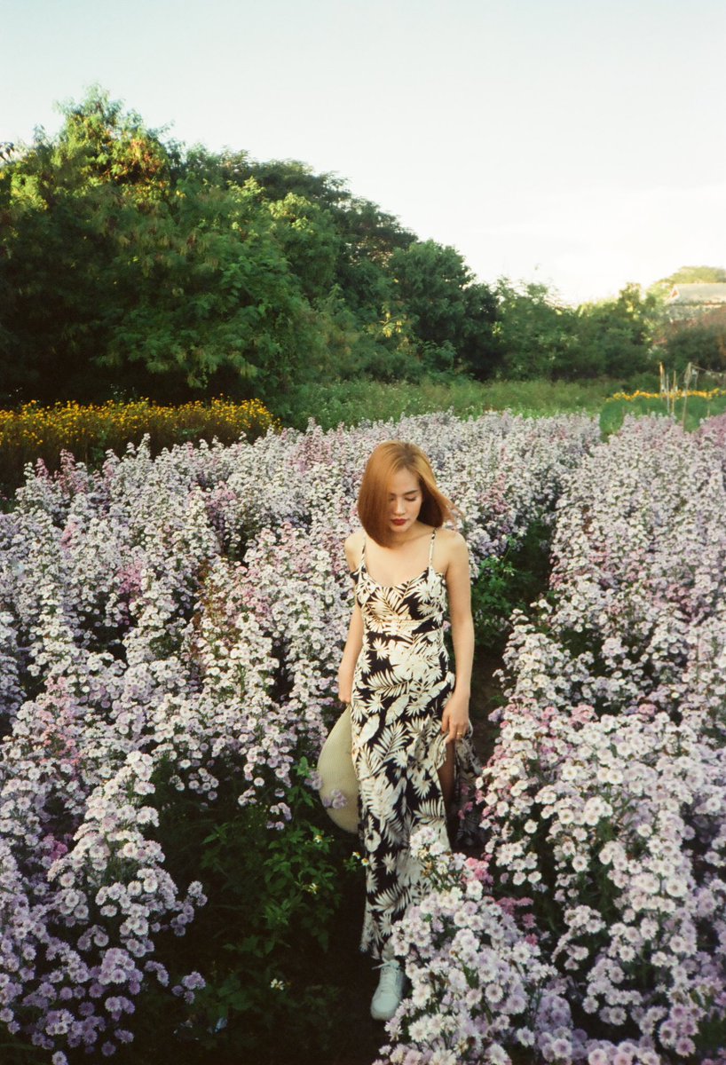 GM film photography lovers 🌸