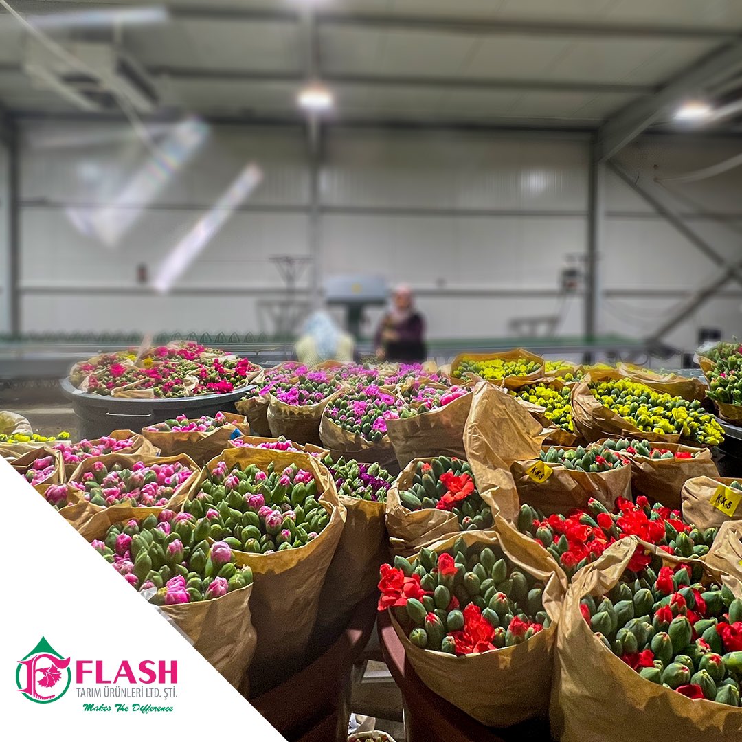 FlashFlower's tweet photo. İlk günkü heyecanla üretmeye devam ediyoruz 🌺
#makesthedifference #farkyaratır https://t.co/0vdf3BCA6i
