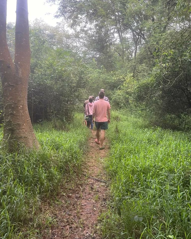 AurovilleMedia's tweet photo. A first step towards opening the 4 city parks to all residents of Auroville.

#auroville #aurovillecity  #citypark  #aurovillepondicherry  #pondicherry https://t.co/LIY1EXFoAg