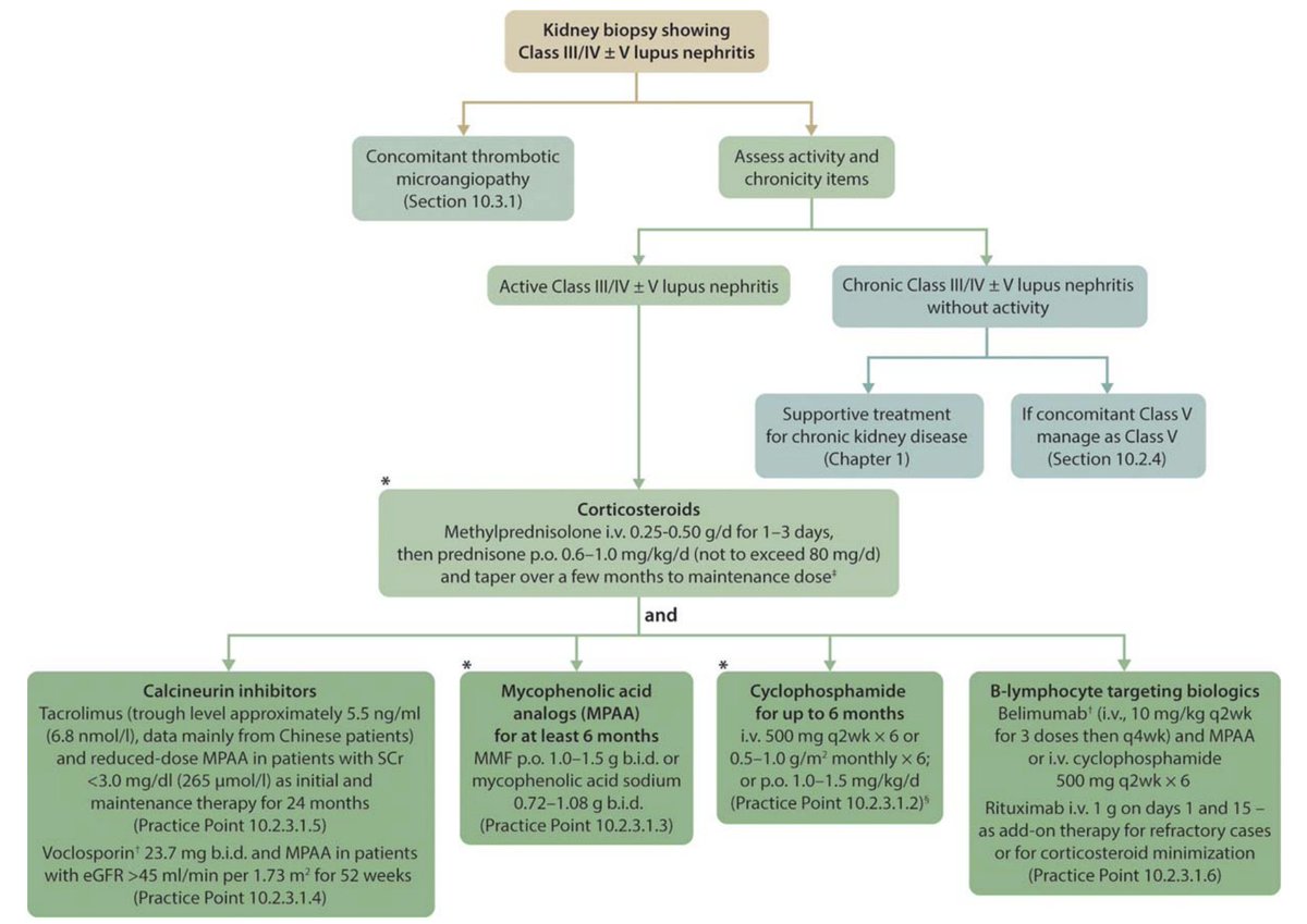 Edgar v lerma on twitter recommended approach for initial therapy