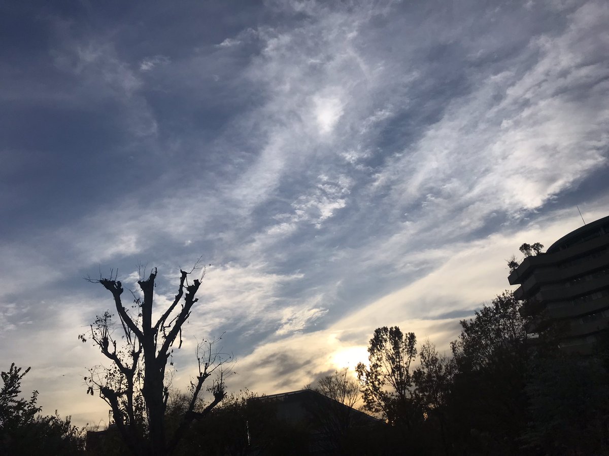 テレワーク@公園