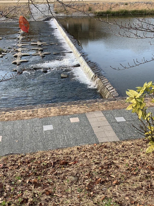 京都、歩いてるだけで美しい景色が楽しめるのずるい 紅葉きれい 