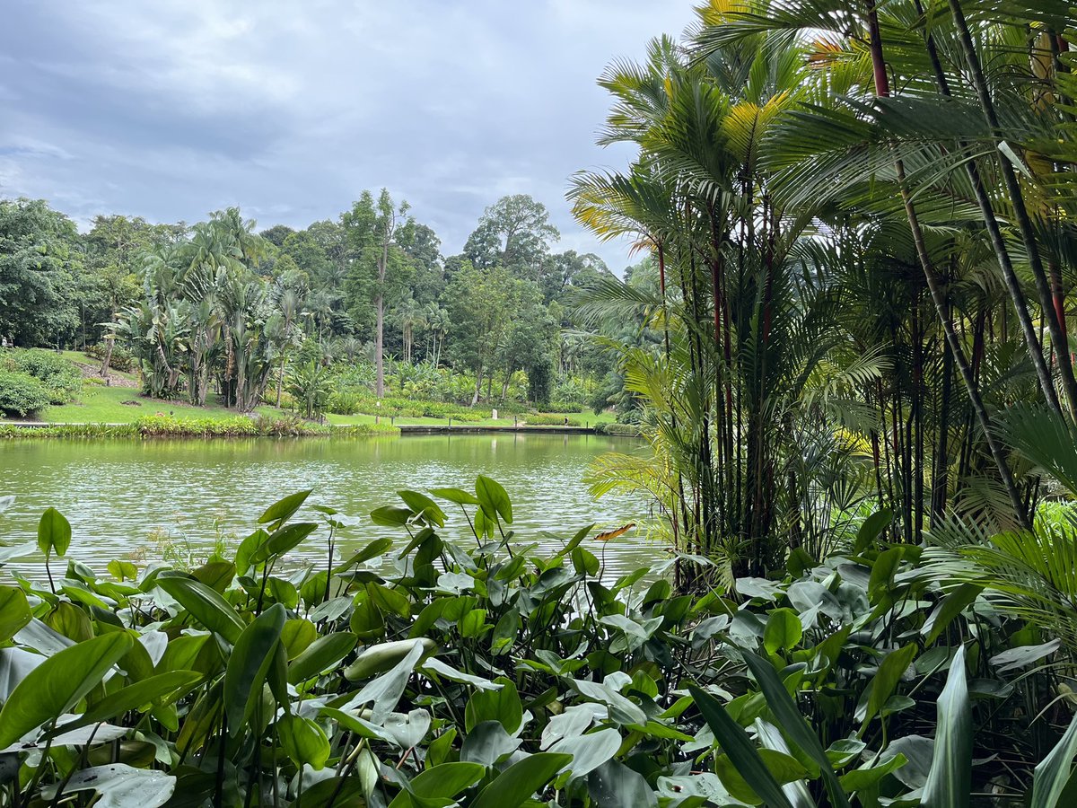Yasu_Yamazak's tweet photo. Magical walk in Singapore!
#magicaldestination #Singapore https://t.co/cXlQuXP8RQ