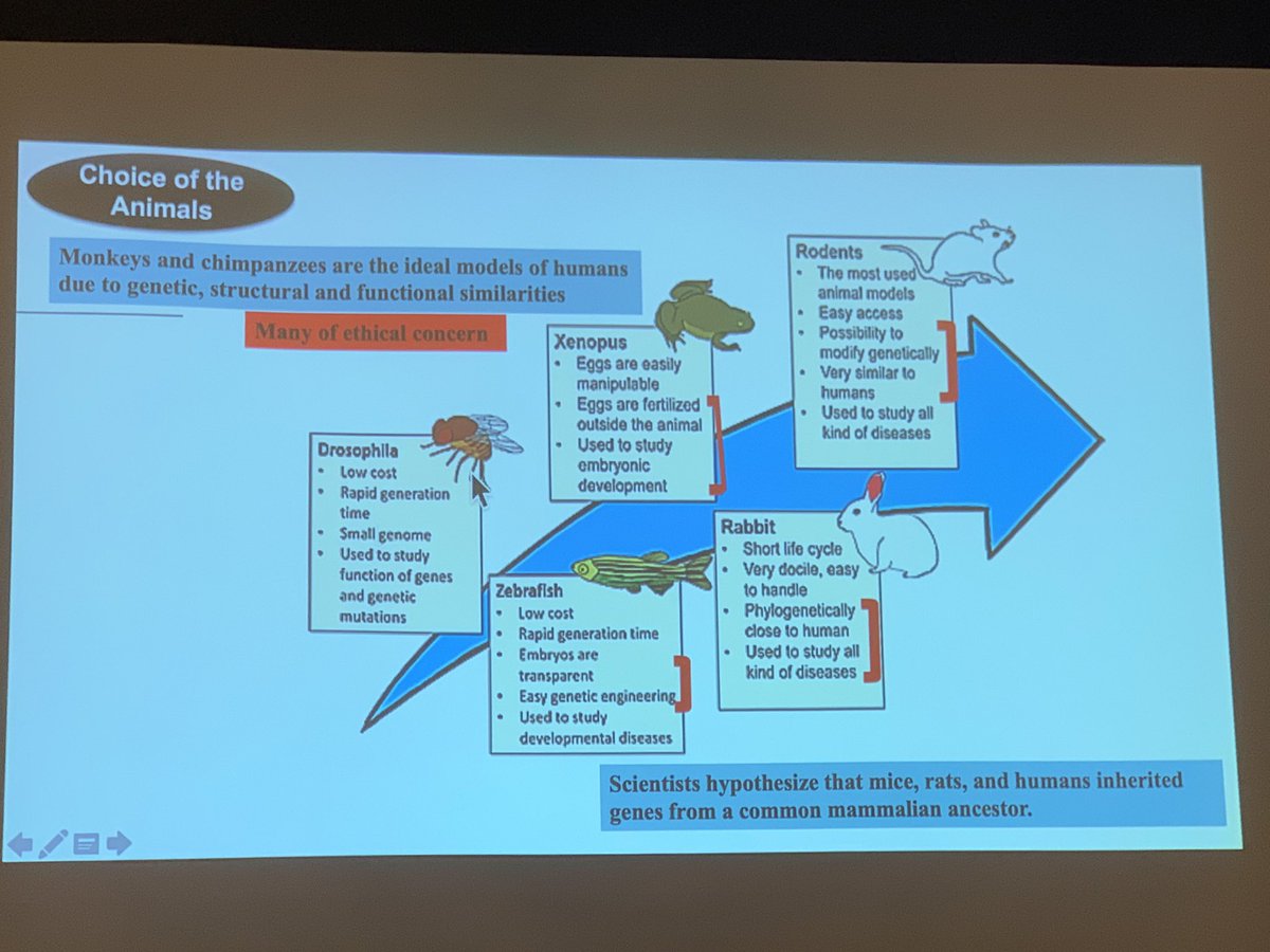 Dr Vinod - discussing about Animal Models in kidney disease <a href="/vjha126/">Vivekanand Jha | विवेकानन्द झा</a> <a href="/isn_india/">Indian Society of Nephrology</a> <a href="/raja_1980/">Raja Ramachandran (राजा)</a> at ISNCON Pune