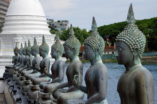 buddhistsociety's tweet photo. Just try to keep your mind in the present. Whatever arises in the mind, just watch it and let go of it. Don't even wish to be rid of thoughts. Then the mind will return to its natural state.

Ajahn Chah https://t.co/JfSwRbHgiQ