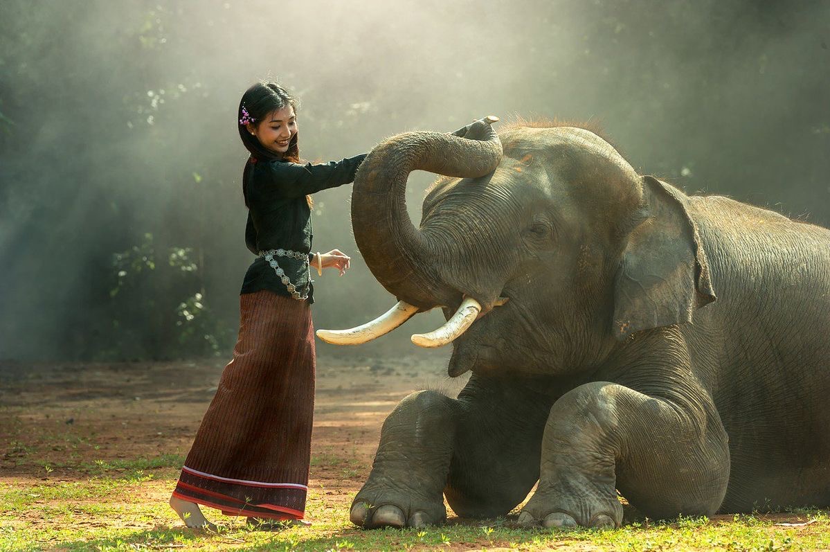 I belong to no religion.
My religion is love.
Every heart is my temple.

Rumi