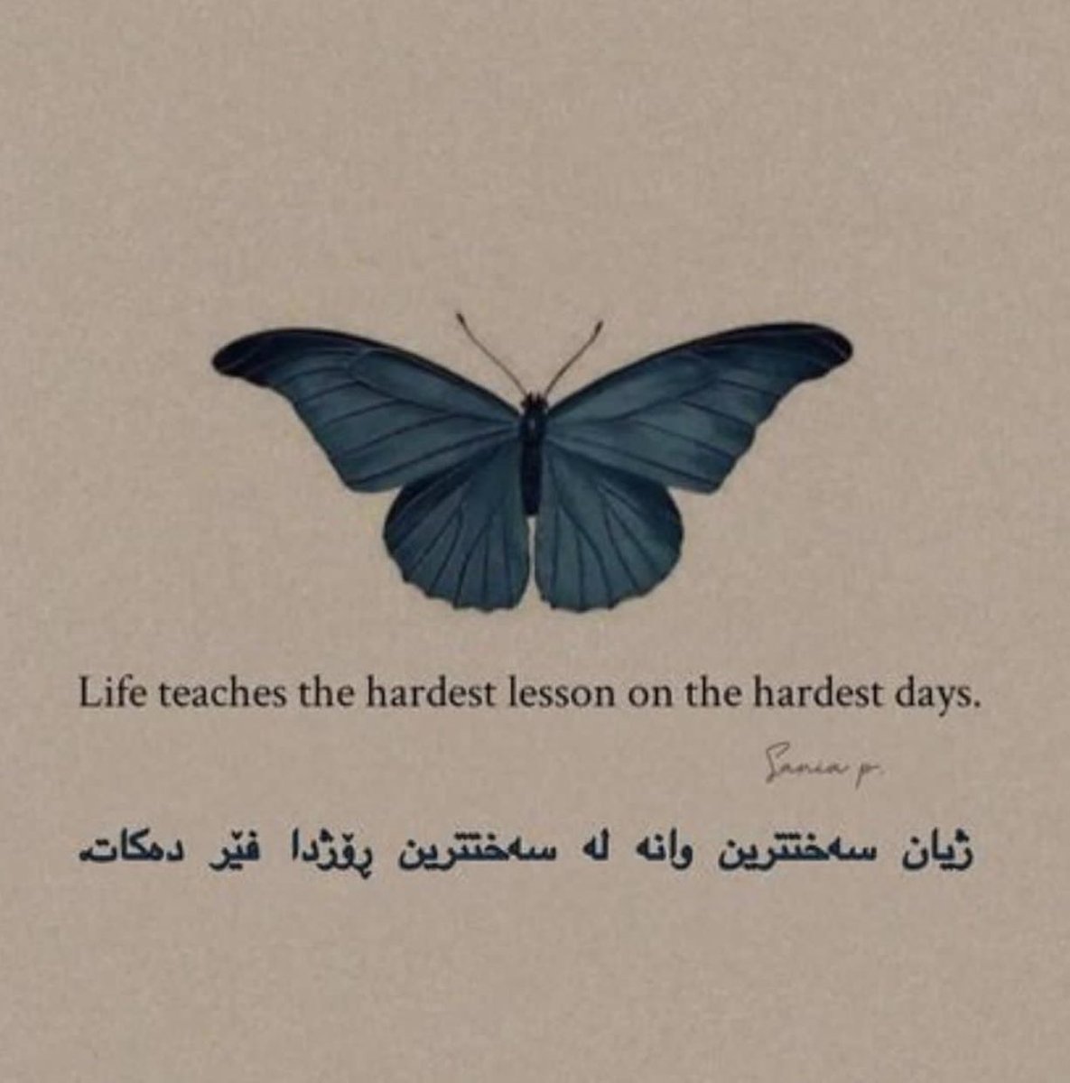 🍂 tweet media