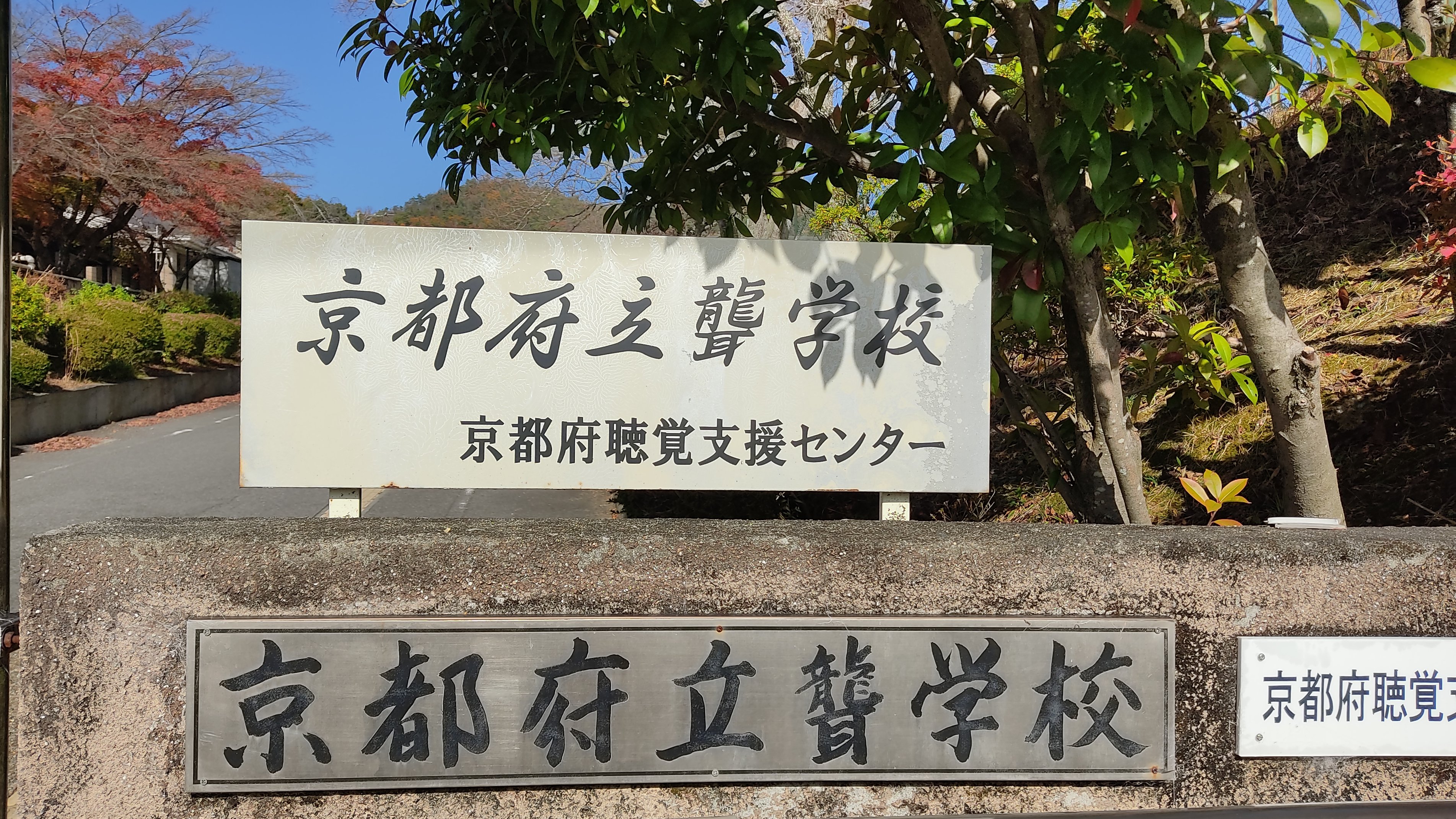 Nekoすこ on Twitter 