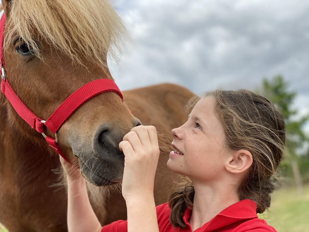 💢Pourquoi est-il primordial et indispensable de sécuriser le taux réduit de #TVA à 5,5% applicable aux activités #équestres ? 👇🔗 bit.ly/3Fk30lO