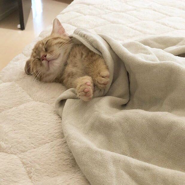 Geovy🏴‍☠️🎄 (@geo06758725) on Twitter photo 