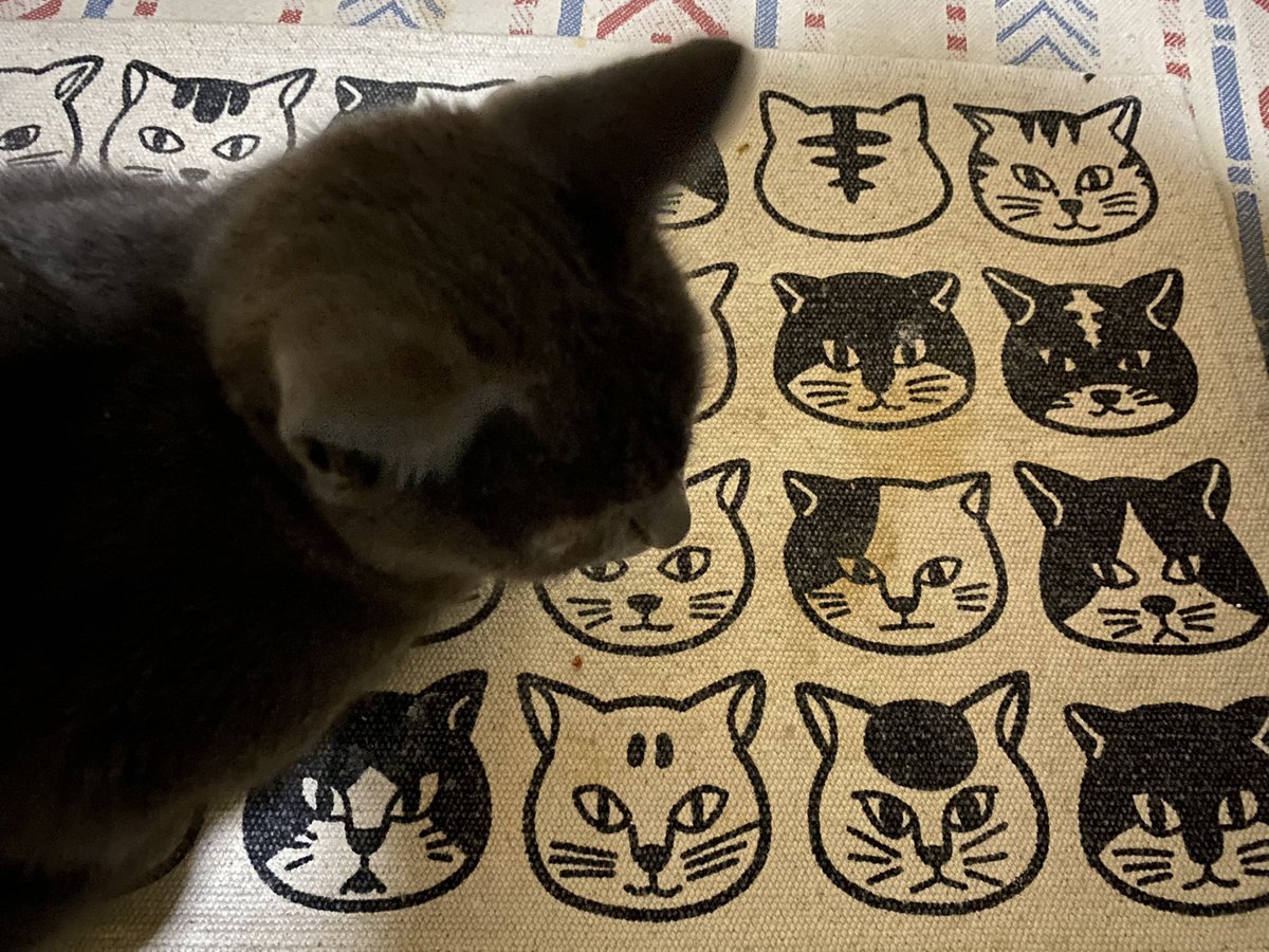freeperson118's tweet photo. 寒いから外猫を避難

風邪には気をつけよう

人生あまり難しく考えなさんな。

暗かったら窓を開けろ、光がさしてくる。                             中村天風の言葉 https://t.co/bXnnmKRXzR